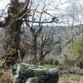 pianello-korsika-049.jpg