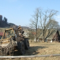 Arbol.cz - Práce na stromech v ČR - 2004-2014