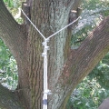 Arbol.cz - Práce na stromech v ČR - 2004-2014
