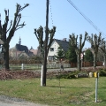 Arbol.cz - Práce na stromech v ČR - 2004-2014